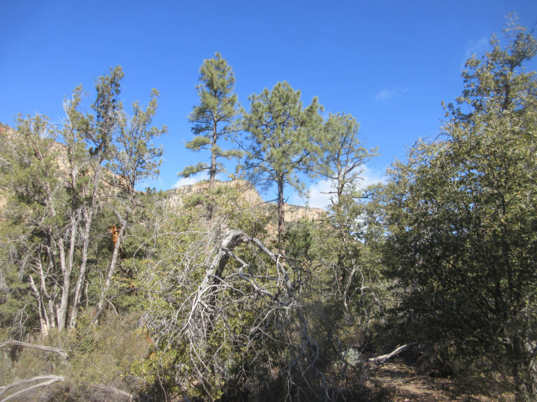 John Long Canyon